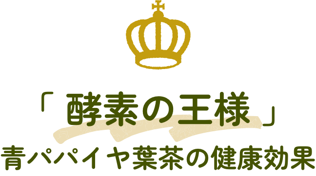 「 酵素の王様 」青パパイヤ葉茶の健康効果