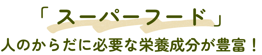 「 スーパーフード 」人のからだに必要な栄養成分が豊富！